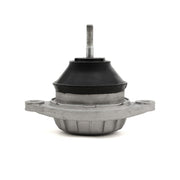 Motor Mount Density Line, Audi I5, C4 URS4/URS6, B3 80/90/Coupe Quattro, 4000/5000, 100/200 - Track Density